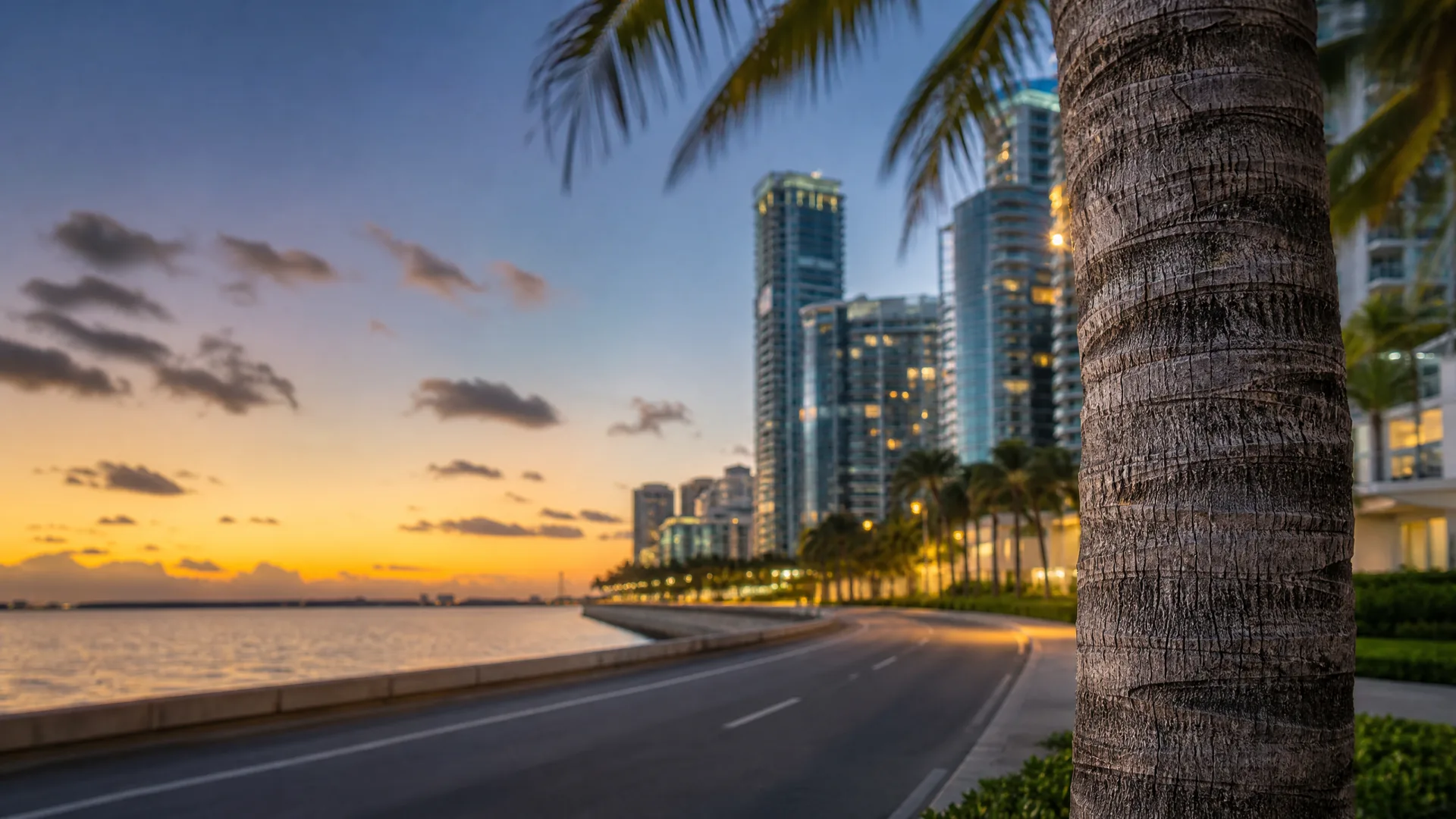 A coastal road curving past a seawall at dusk, with a palm trunk in the foreground and high-rise buildings with lit windows in the background under an orange and blue sky.